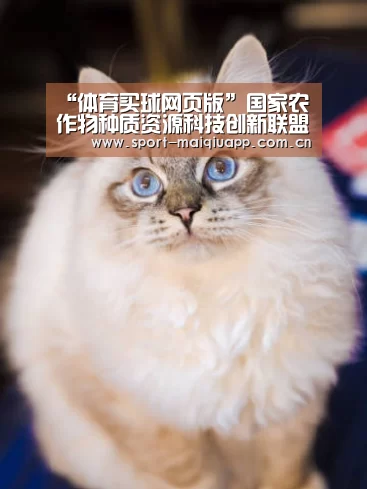 体育买球app