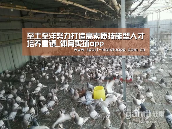 至土至洋努力打造高素质技能型人才培养重镇_体育买球app(图3) 体育买球网页版