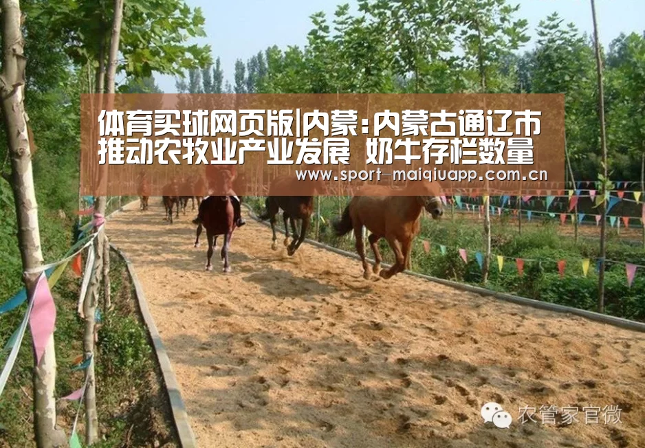 体育买球网页版|内蒙:内蒙古通辽市推动农牧业产业发展 奶牛存栏数量突破6.7万头(图2) 体育买球app
