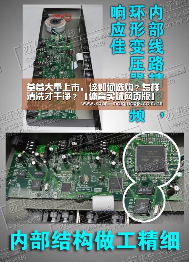 体育买球网页版