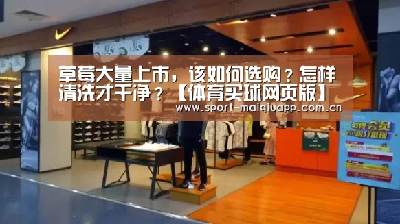 体育买球网页版