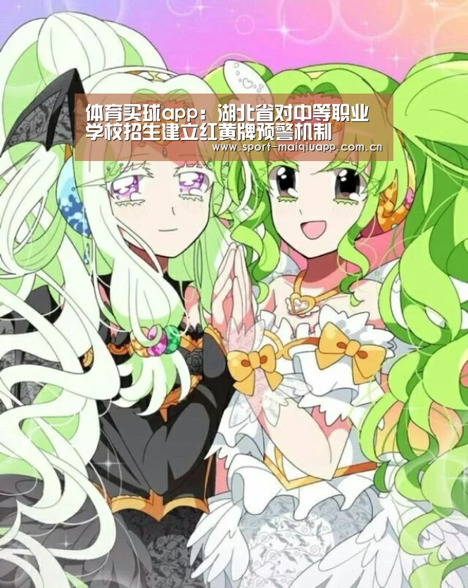 体育买球app:湖北省对中等职业学校招生建立红黄牌预警机制(图1) 体育买球app