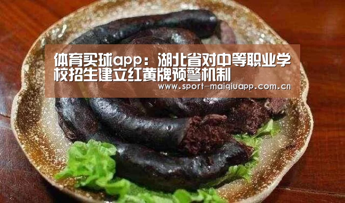 体育买球app:湖北省对中等职业学校招生建立红黄牌预警机制(图4) 体育买球网页版