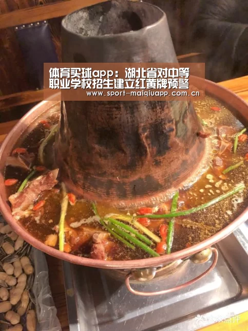 体育买球app:湖北省对中等职业学校招生建立红黄牌预警机制(图3) 体育买球网页版