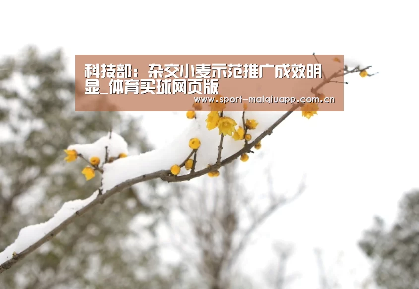 体育买球app