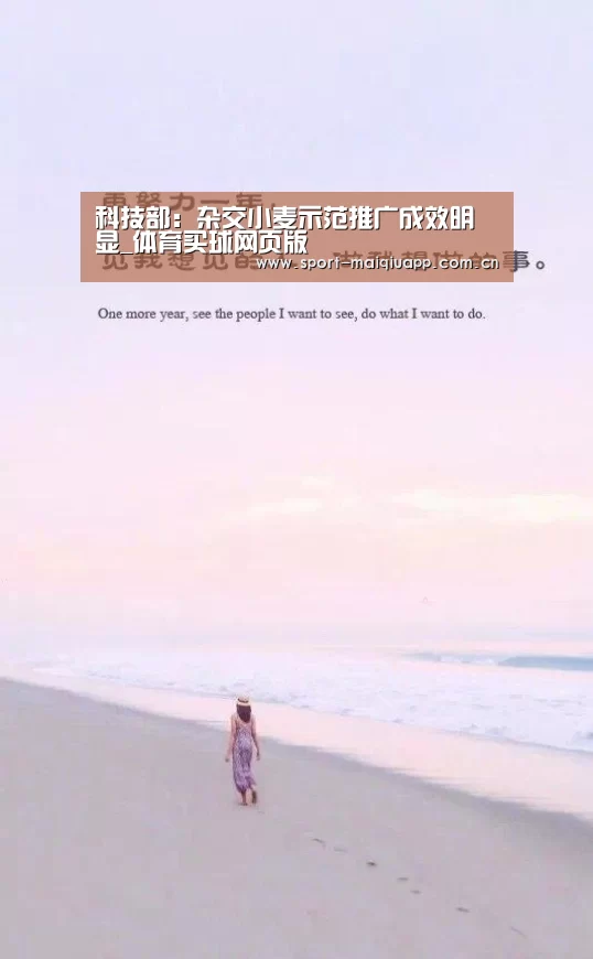 体育买球app