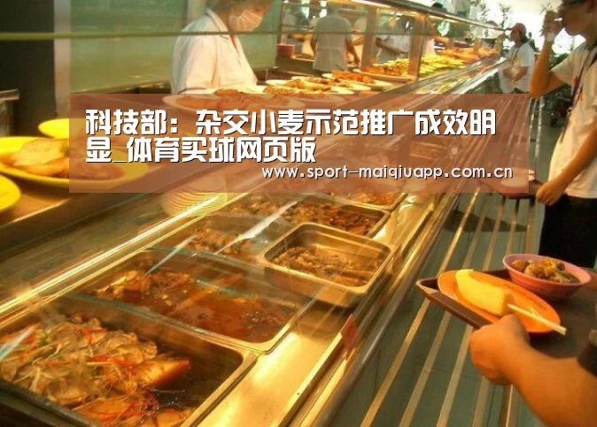 体育买球网页版