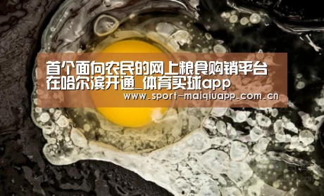 首个面向农民的网上粮食购销平台在哈尔滨开通_体育买球app(图2) 体育买球网页版